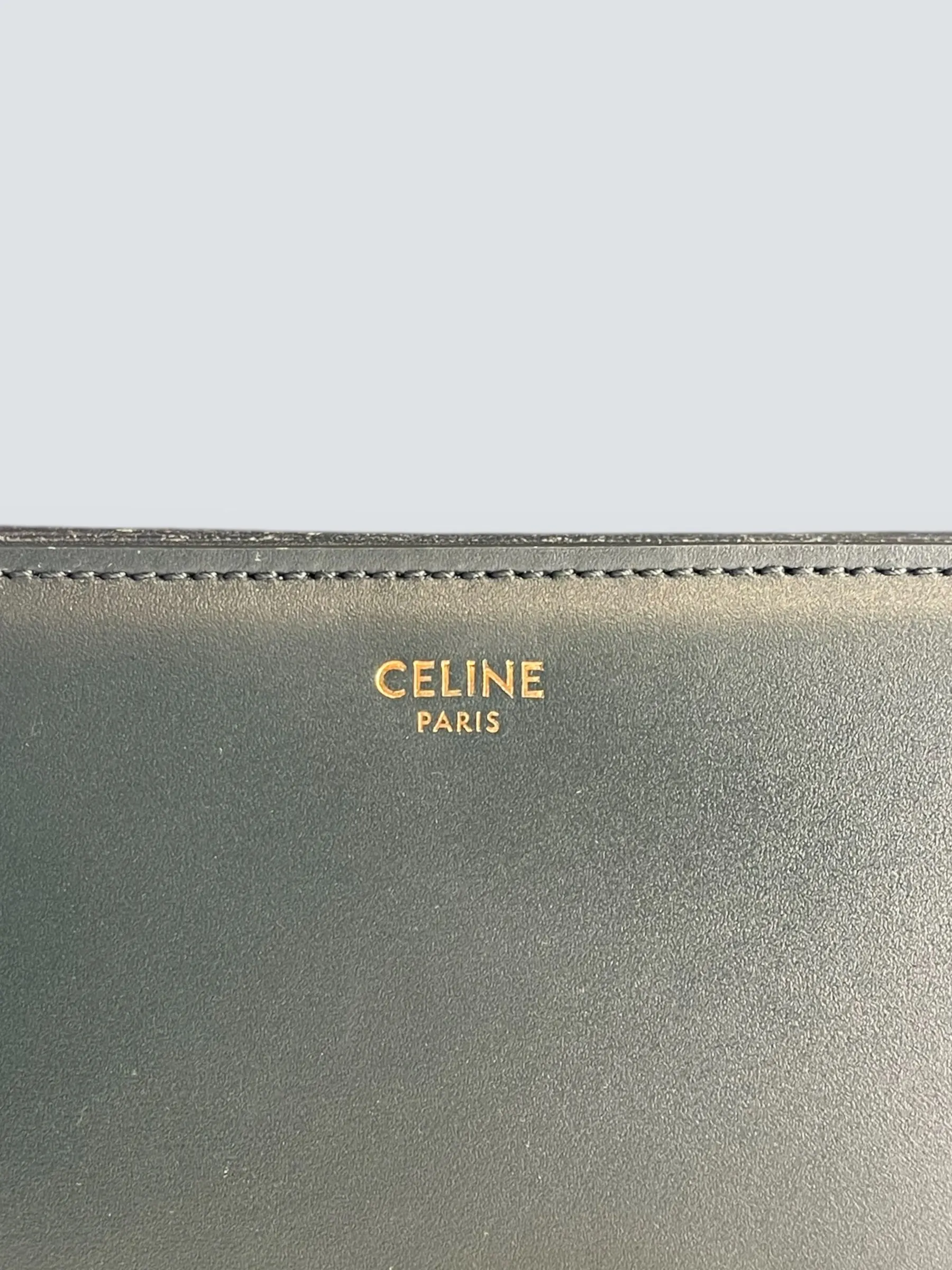 Celine Green Calf Leather Medium ??Triomphe?? Crossbody