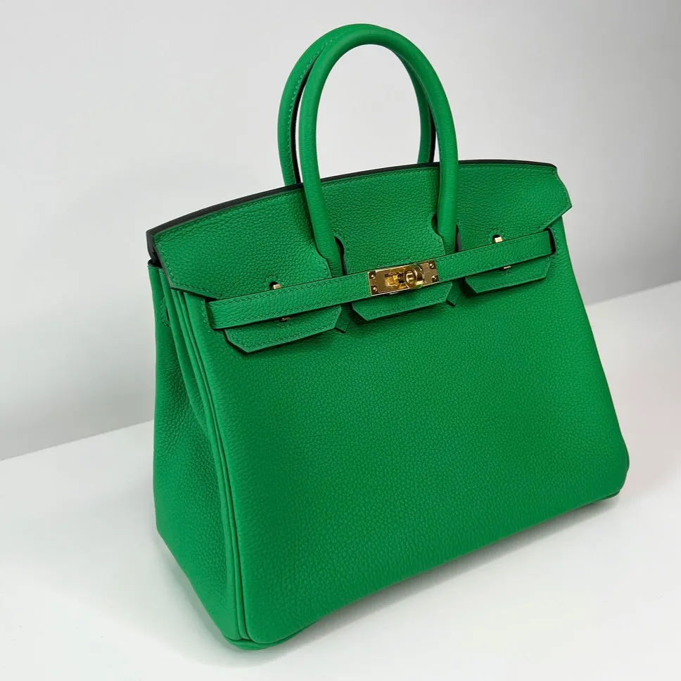 Herm??s Birkin 25 Bamboo Togo Gold Hardware