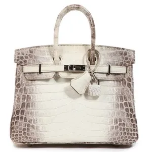 Herm??s Birkin 25 Himalaya Matte Palladium Hardware