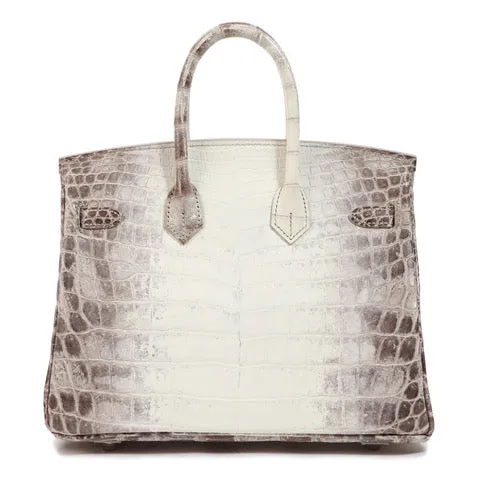 Herm??s Birkin 25 Himalaya Matte Palladium Hardware