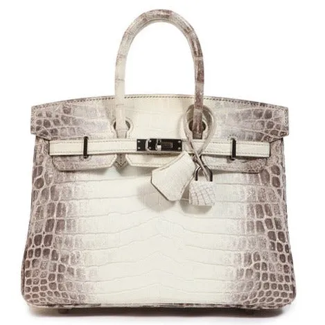 Herm??s Birkin 25 Himalaya Matte Palladium Hardware
