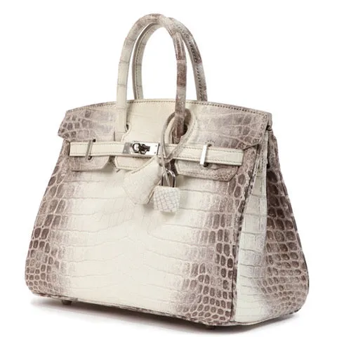 Herm??s Birkin 25 Himalaya Matte Palladium Hardware