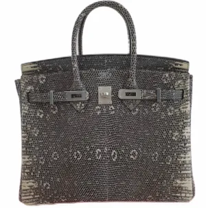 Herm??s Birkin 25 Ombr?? Lizard Palladium Hardware