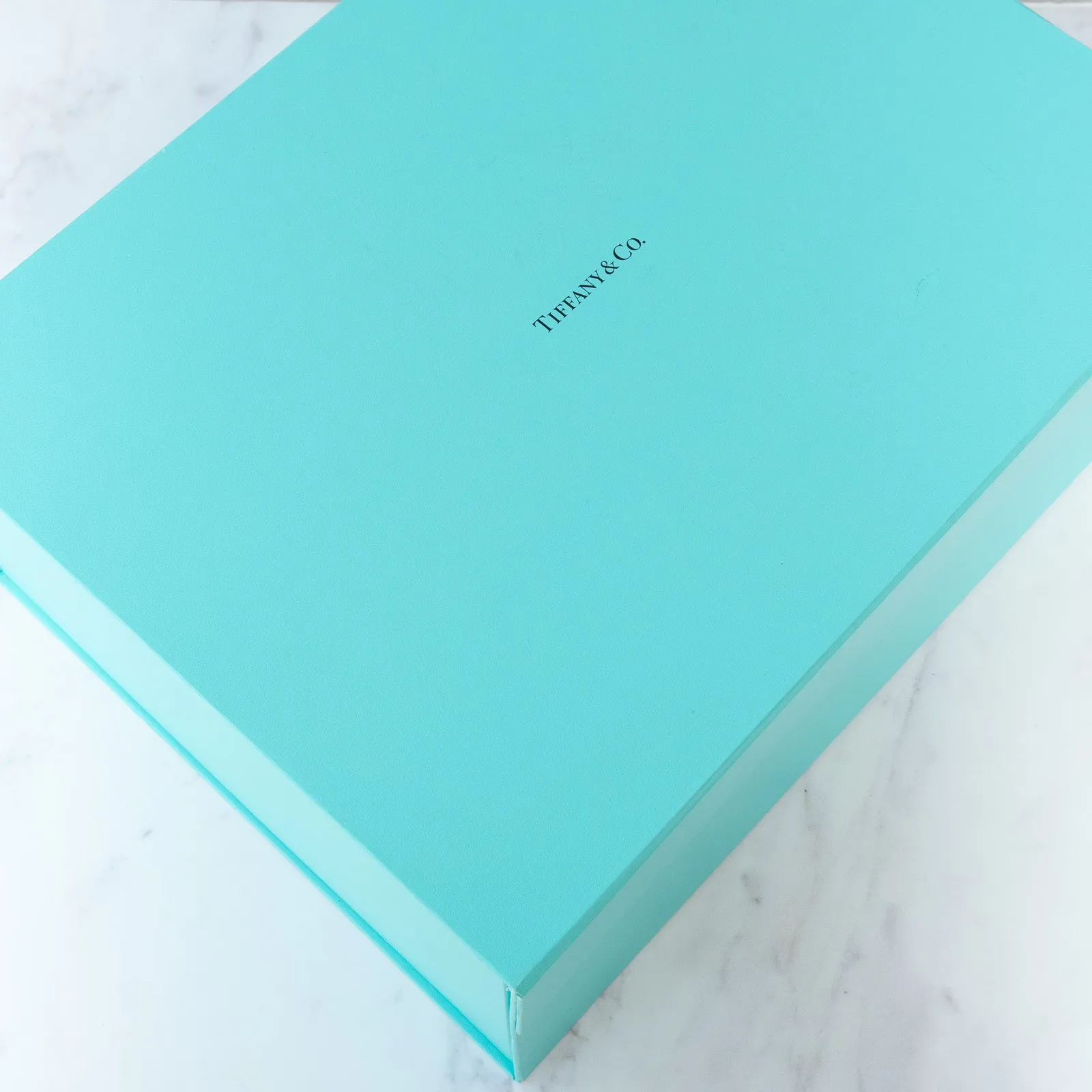 Tiffany & Co Colour Block Leather Tote Bag